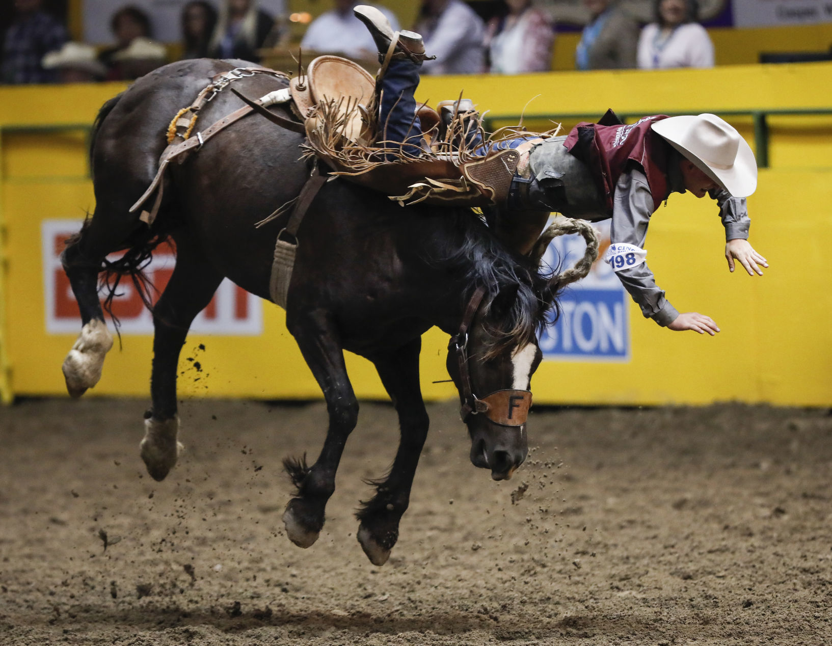 CNFR - Thursday